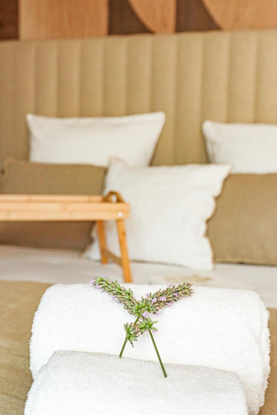 Les Gites De Laure - L'Eden Romantique, Chambres Hotes, Spa Prive, Couloir De Nage, Adults Only Malves-en-Minervois Exteriér fotografie